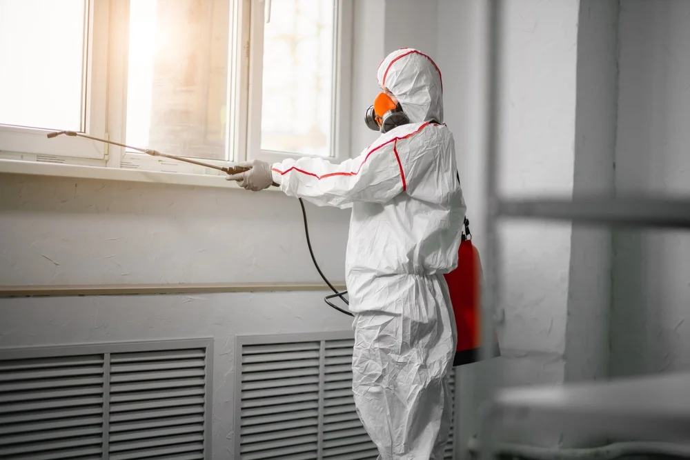 Professional mold remediation services in Key Largo, FL